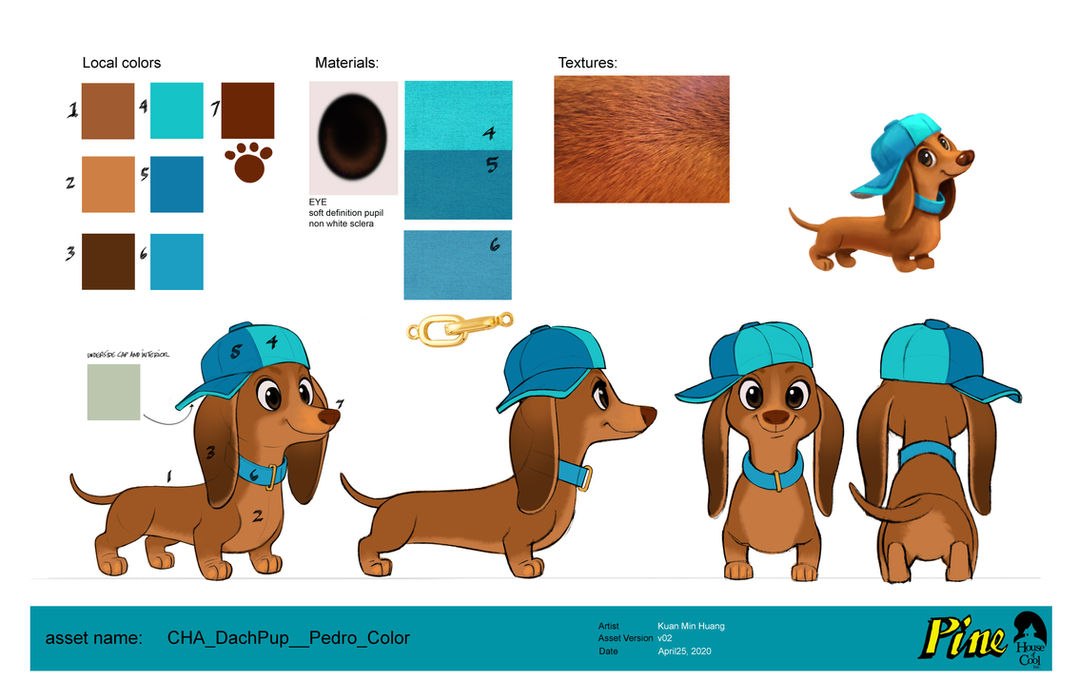illustrations of a brown dachshund dog wearing a blue baseball cap and collar from multiple angles. colour swatches of shades of brown and blues and sample of fur texture
