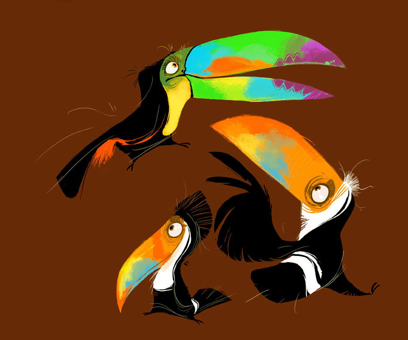 3 hand drawings of toucans from different angles