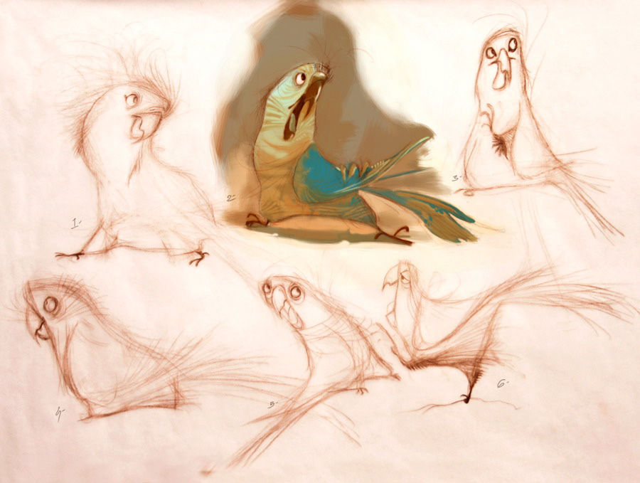line drawings of 6 Spix's macaws from different angles