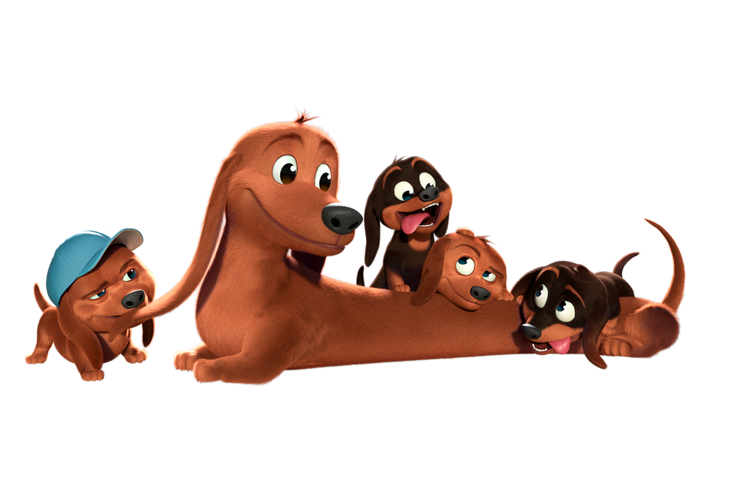 a very long brown dachshund dog surrounded by 4 puppies. one is wearing a blue baseball cap and pulling on the bigger dog's ear